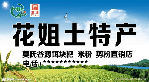 土特產(chǎn)門頭廣告設(shè)計(jì)指南 關(guān)鍵要素與創(chuàng)意靈感